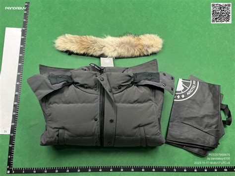 pandabuy canada goose jacket.